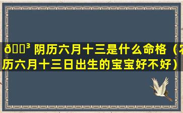 🐳 阴历六月十三是什么命格（农历六月十三日出生的宝宝好不好）